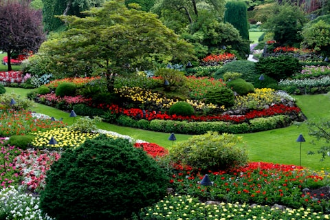 Landscaping & Outdoor