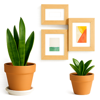 home decor