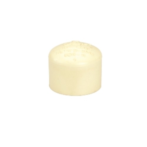 20mm CPVC Caps